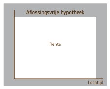 grafiek aflossingsvrije hypotheek